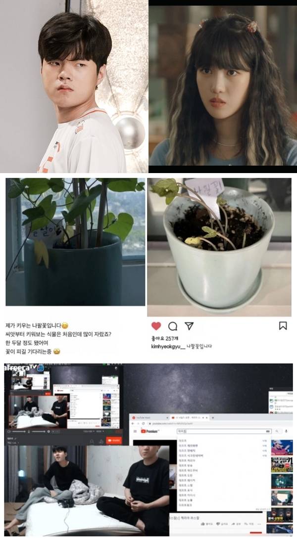 데프트 양혜지 / 사진=한화생명 e스포츠 트위터, 알고있지만 방송 캡처, 온라인 커뮤니티