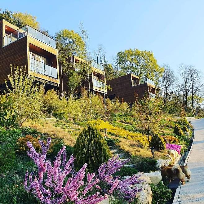 인스타그램 @leesumi_farmberry