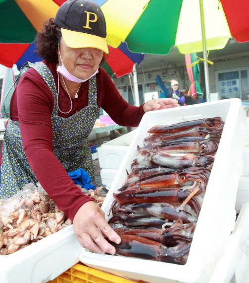 지난 9일 충남 태안군 근흥면 안흥외항 수산물 판매점에서 한 상인이 인근 바다에서 잡아 온 오징어를 손질하고 있다.(사진=연합뉴스)