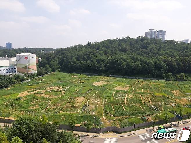 경기 수원시 영통구 영통동 961-11 모습.© 뉴스1 유재규 기자