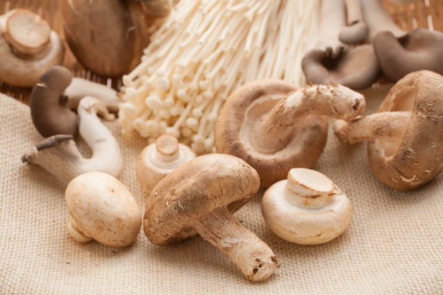 버섯은 당지수를 적게 높이는 식품으로 저녁 식사 중 먹기에 적당하다./사진=클립아트코리아