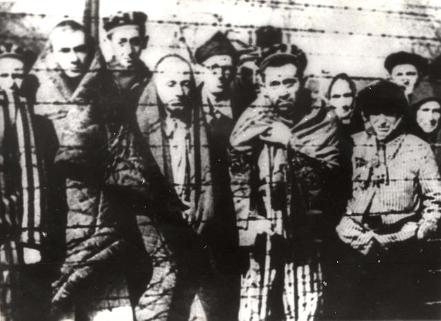 나치에 의해 폴란드 남부 오슈비엥침에 위치한 아우슈비츠 강제수용소에 갇힌 수용자들이 1945년 5월 나치 독일이 항복 선언을 한 이후 철조망 앞에 모여있다. 로이터 연합뉴스 자료사진