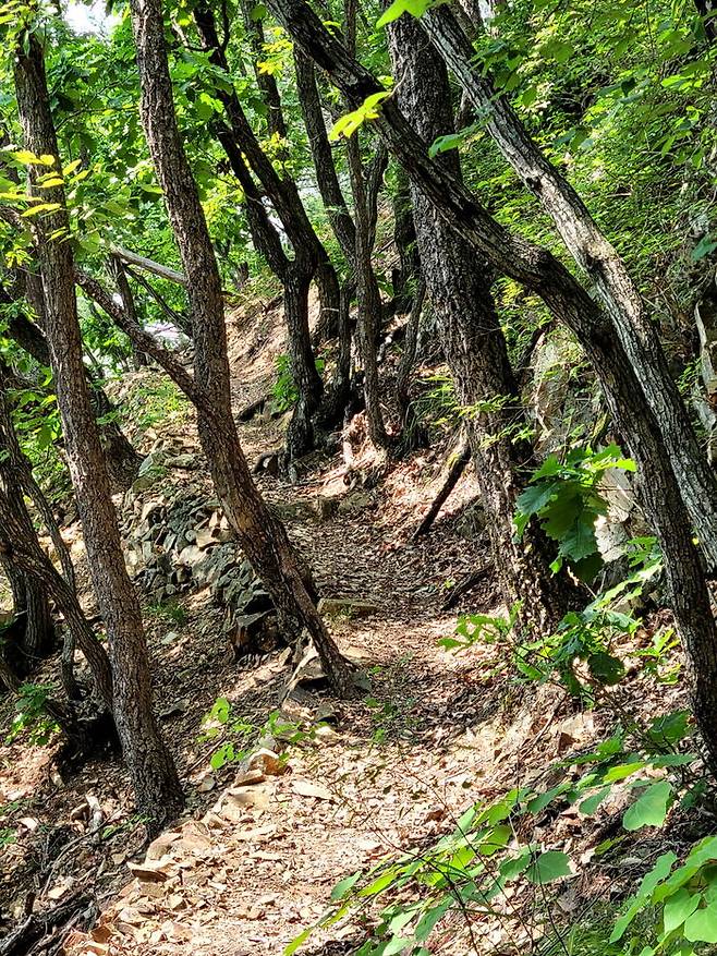 인생이 아름다운 것은 외로움이 있기 때문이라고도 말하지만 외로움은 아무래도 버거운 존재일 수밖에 없다.