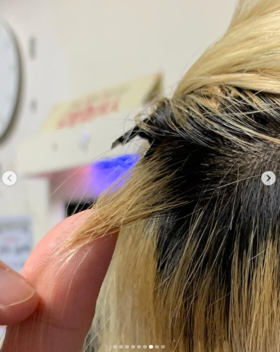 맹승지는 미용실 측 과실로 머리카락 45% 가량이 뜯겨 나갔다고 밝혔다. 사진| 맹승지 SNS