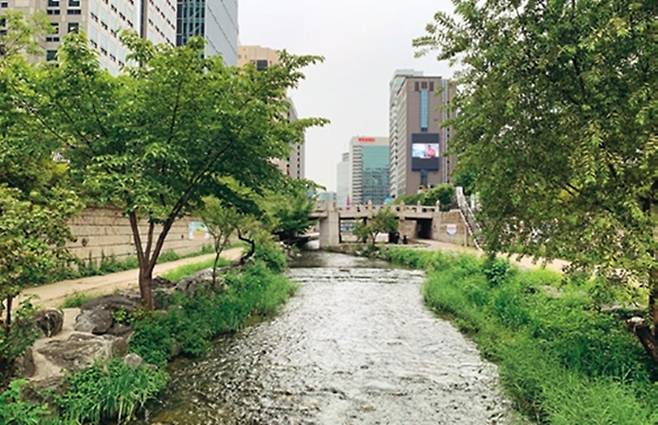 청계천 광통교. 2003년 이후 복원된 22개 다리 중 하나다. 근처에 붉은머리오목눈이, 딱새, 청둥오리 등 여러 조류가 살고 있다.