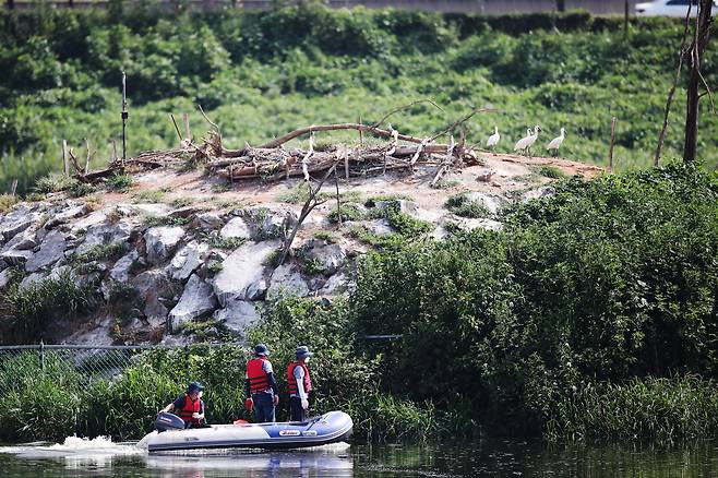 19일 인천 남동유수지에 마련된 인공섬 부근에서 남동구청과 보호단체 관계자들이 폐사한 생물 수거 작업을 벌이고 있다. 우상조 기자