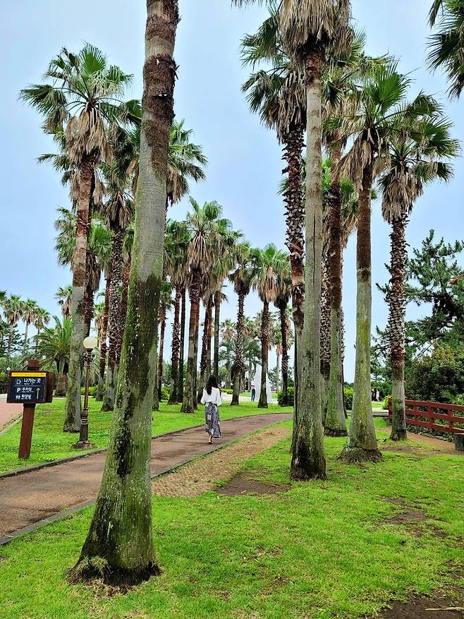 중문 대포주상절리대 산책로