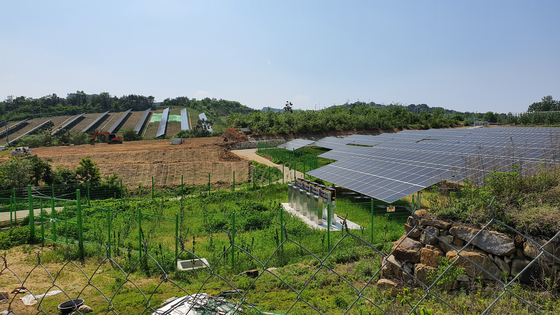 지난 5월 경북 군위의 태양광 발전소 모습. 사진과 기사 내용은 직접적 관련이 없음. 중앙포토