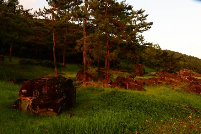 화순고인돌유적은 영산강 지류인 지석강 주변 평야를 배경으로 청동기시대인 3000년 전에서 2500년 전 사이에 축조된 것으로 5㎞ 구간에 596기가 산재한다.