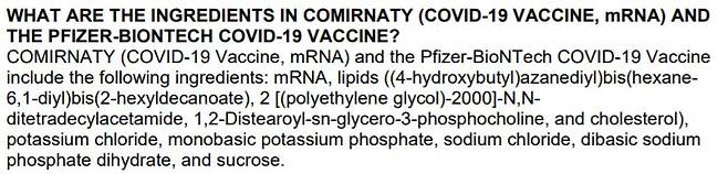 화이자 백신 구성 성분 목록 (출처: FDA 홈페이지)