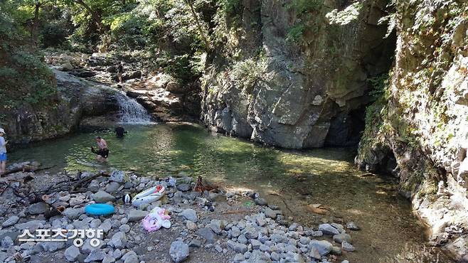 남전1리 동아실계곡에서 주민들이 나뭇가지를 걷어내는 등 정화활동을 벌이고 있다.