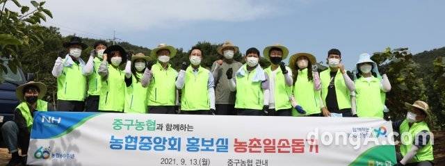 변대근 농협중앙회 홍보상무(왼쪽에서 일곱번째)와 유건호 중구농협 유건호 조합장(여덟번째)을 비롯한 임직원 봉사단은 13일 추석 대목을 앞두고 인천 무의도
소재 포도 재배농가를 찾아 수확기 일손돕기를 실시했다. 농협 제공