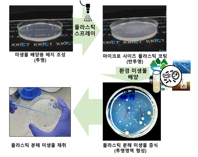 키트 제작 및 플라스틱 분해 미생물 추출 과정
