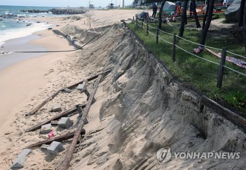 13일 최근 높은 파도로 데크 산책로가 붕괴한 강원 강릉시의 한 해변에서 태풍 북상에 대비해 철거 작업이 진행되고 있다.[촬영 이해용]