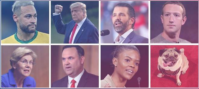 페이스북이 '엑스체크'라는 화이트리스트에 포함시킨 유명인들. /사진=월스트리트저널 갈무리