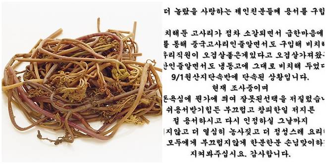 제주 서귀포시에 있는 A식당이 인스타그램에 음식 재료 원산지를 속여 팔았다며 사과문(오른쪽)을 올렸다. /사진=이미지투데이, A식당 인스타그램 캡처
