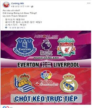 베트남인 상대 도박사이트 운영한 일당이 사회관계망서비스(SNS)에 올린 홍보 글. 대전경찰청 제공