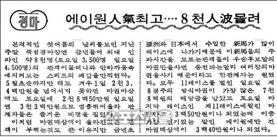 1971년 5월24일자 경향신문에는 경주마 ‘에이원’의 전설적인 기록을 다룬 기사가 실렸다.  제공 | 한국마사회