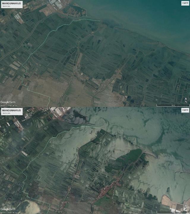 맹그로브를 밀어내고 조성한 인도네시아 중부자바주 스마랑 새우 양식장의 2002년 모습(위 사진). 아래 사진은 바닷물이 침범해 새우 양식장은 파괴되고 해안선은 내륙으로 후퇴한 2019년 모습. 맹그로브맥즈닷컴 캡처