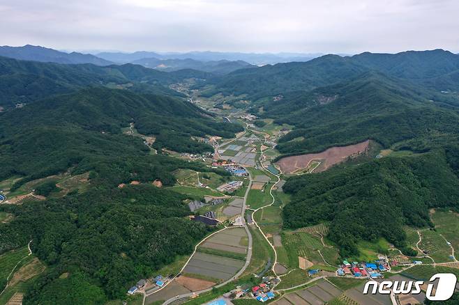 2022년 선도 산림경영단지 충북 음성© 뉴스1