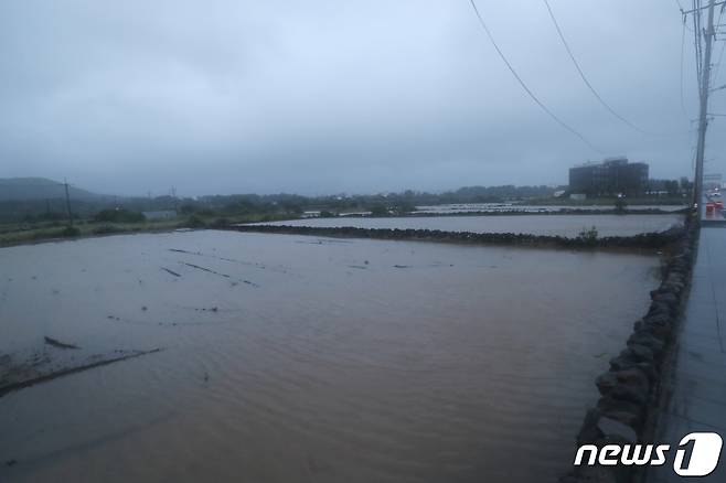 제4호 태풍 찬투가 제주에 최근접한 17일 오전 서귀포시 성산읍의 한 밭이 폭우로 침수돼 있다. 2021.9.17/뉴스1 © News1 오현지 기자