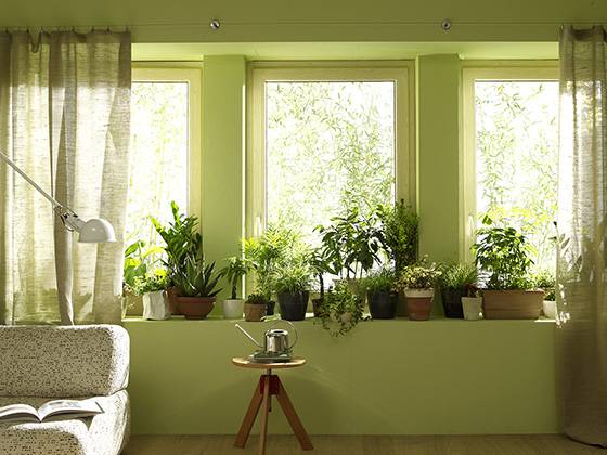 공기정화식물이 놓여있는 거실. <사진=클립아트코리아>