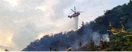 산림청 산불진화헬기가 산불현장에서 진화활동을 벌이고 있다. 산림청 제공