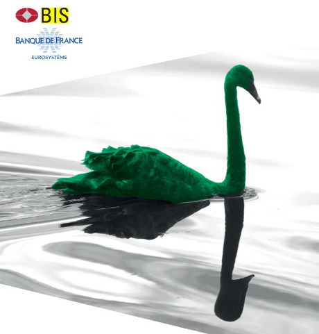 BIS가 2020년 1월 발표한 '그린스완(The green swan)' 보고서의 표지 /사진=BIS