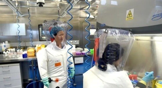 중국 우한 바이러스 연구소 첨단 실험실에서 세계적인 박쥐바이러스 전문가 스정리 박사가 연구작업을 지휘하고 있다. 뉴스1
