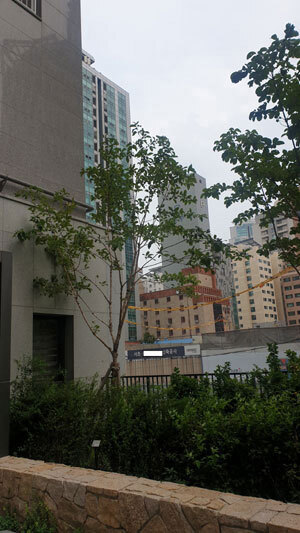 서울 서초구 서초동 A아파트의 1차선 도로 건너편에 18층 짜리 생활숙박시설이 건축면적 1156㎡ 규모로 지어지고 있다.