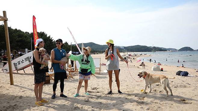 Pet key Hong Hyun-hee X Kang Ki-young team traveled to guest Choi Yeo-jin, Lee Tai-sun and Yang Yang.In the 5th episode of JTBCs Travel Battle - Pet Key (hereinafter referred to as pet key, planning Yang Ji-young, and director Kang Sung-woong), which will be broadcast at 10:30 pm on September 23, actors Choi Yeo-jin and Lee Tae-sun appeared as guests, and traveled to Yang Yang with Pets under the guidance of Hong Hyun-hee X Kang Ki-young Here.Hong Hyun-hee X Kang Ki-young team prepared a surfing mecca Yang Yang trip considering the taste of Choi Yeo-jin, a client who enjoys water leisure sports.Hong Hyun-hee X Kang Ki-young was the first course to prepare for Pet Standup paddleboarding class.Pet Noah of Choi Yeo-jin was skillfully ridden with Standup paddleboarding as a watertriver and received the envy of everyone.While Lee Tae-suns Pet cunt failed to adapt to the Standup paddleboarding, eventually dived into the sea instead of the Standup paddleboarding and enjoyed the free Sooyoung.On the other hand, Hong Hyun-hee, who did not enjoy Sooyoung with water phobia while Kang Ki-young, Choi Yeo-jin and Lee Tae-sun enjoyed the standup paddleboarding class happily, said, I do not have a dog.However, for a while, Hong Hyun-hee made ice water for Pet as a weapon of spleen and reversed the popularity explosion and atmosphere to Pets who came out after Sooyoung.