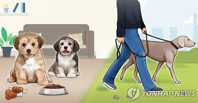 반려동물 강아지 (PG) [홍소영 제작] 사진합성·일러스트