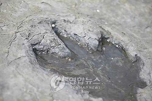 경남 고성 상족암 공룡 발자국 화석 [연합뉴스 자료사진]