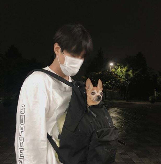 Actor Lee Min-ho has shared a bitter recent episode.Lee Min-ho posted two photos on his SNS account on the 23rd with an article entitled Thunder, Local Rain with Lightning.Lee Min-ho, pictured in the open, is walking on the street in soak; meeting an untimely heavy rain during Walking with Pet; he bows his head with Pet in his bag.Lee Min-ho then went indoors and avoided the rain.Lee Min-ho, who is full of regrets in the unexpected heavy rain, and Pet, who is staring at the front, attracted attention.Meanwhile, Lee Min-ho appears on the new Apple TV Plus drama Pachinko in the U.S., playing Hansu, a merchant who has been linked to Yakuza and built up wealth and power.