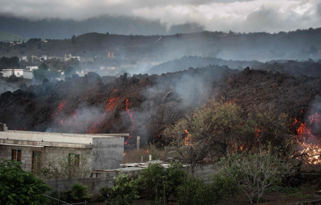 라 팔마섬의 로스 라노스 데 아리다네에서 20일 산 허리를 따라 흘러내린 용암이 식으면서 연기가 피어오르고 있다. 라 팔마=AFP 연합뉴스