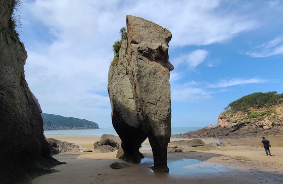굴업도 코끼리바위. 물이 빠지면 바위까지 접근할 수 있다. 손민호 기자