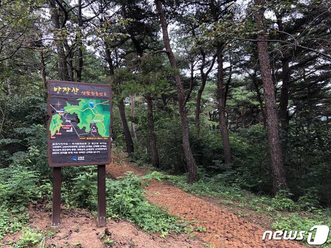 전북 고창군이 고창읍내를 주산인 성산과 방장산을 쉽고 편하게 오르내릴 수 있는 최적의 등산코스를 조성했다. © 뉴스1