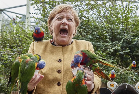 23일(현지시간) 앙겔라 메르켈 독일 총리가 말로의 말로 새 공원에서 호주 앵무새들에게 먹이를 주며 웃음을 짓고 있다. [AP=연합뉴스]