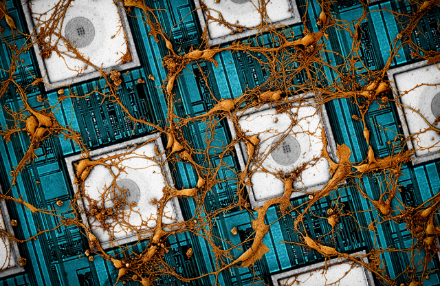 삼성전자와 미국 하버드대가 공동 연구를 통해 사람의 뇌 신경망을 칩에 재현하는 ‘뉴로모픽’ 방식의 미래 반도체 비전을 제시했다. 지난 23일 세계적인 학술지 ‘네이처일렉트로닉스’에 실린 뉴로모픽 논문의 이미지./사진 제공=삼성전자