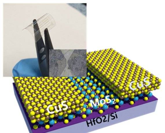 성균관대 차승남 교수팀이 이황화 몰리브덴과 황화구리를 이용해 트랜지스터 부품을 만들었다. 성균관대 박상연 박사후연구원 제공