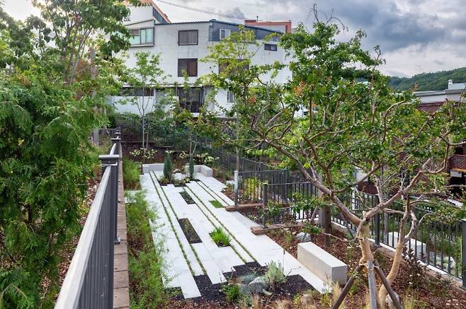 2021 정원드림 프로젝트에서 대상을 차지한 루트팀이 조성한 정원 모습.      