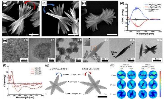 광대역 광학 활성을 보이는 소재의 전자현미경 사진, 광학 활성 그래프 및 컴퓨터 시뮬레이션 결과