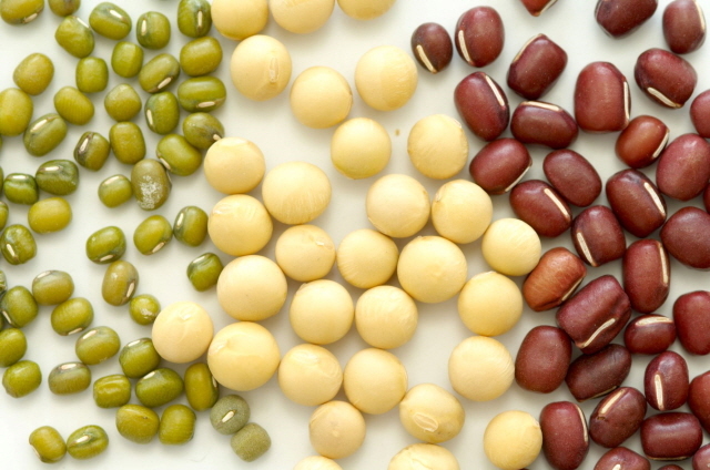 어떤 콩은 단백질보다 탄수화물이나 지방이 많은 것도 있다. 콩도 잘 따져 먹어야 한다. ​/클립아트코리아 제공