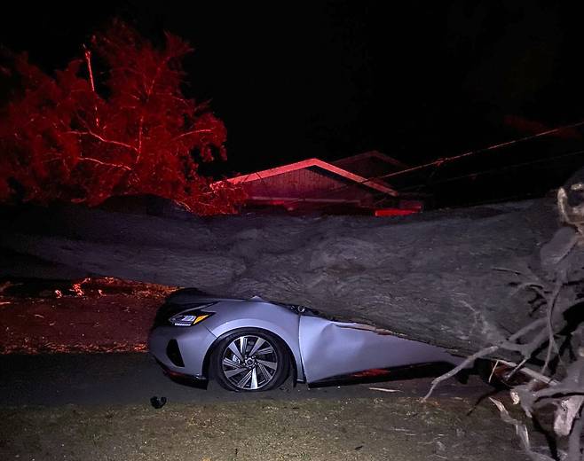 11일(현지시간) 캘리포니아의 해안도시 엘 그라나다의 주택가에서 강풍으로 인해 뽑힌 나무에 차량이 크게 훼손되어 있다. AP=연합뉴스