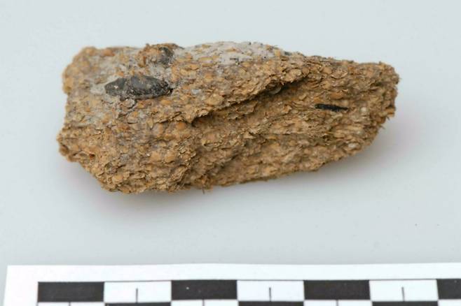 알프스 할슈타트 소금광산에서 발견된 2700년 전 인류의 대변 배설물. AFP연합뉴스