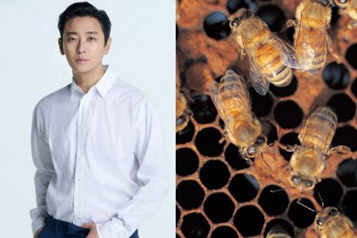 (사진=뉴스1, 이미지투데이)