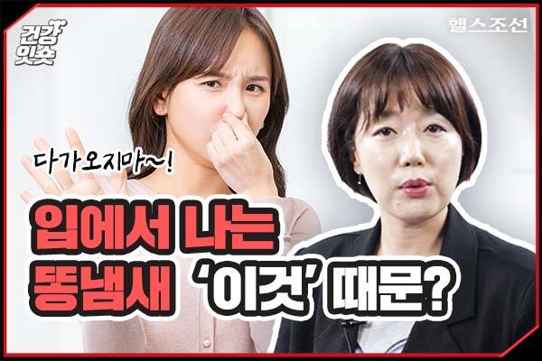 헬스조선DB