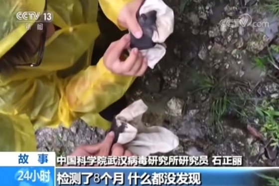 지난 2017년 12월 우한바이러스연구소의 연구진들이 맨손으로 박쥐 배설물을 채취하는 모습이 중국 CCTV에 방영됐다. [유튜브 캡처]