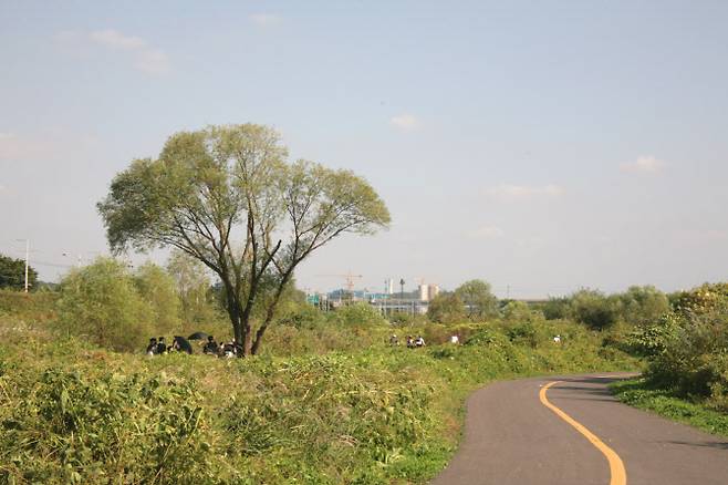 대덕생태공원 자전거도로.(사진=고양시 제공)