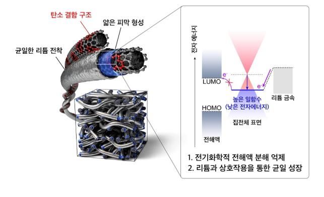 카이스트(KAIST) 김희탁 교수 연구팀이 개발한 무음극재 리튬이온배터리./카이스트 제공